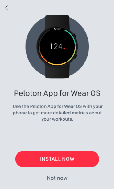 Wear os best sale for pc